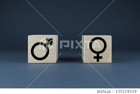 Male and female gender symbols. Equality concept 135219319