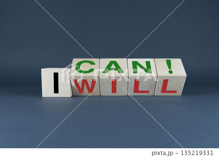 Cubes form the words I can - I will. The concept of purpose and motivation in both business and life 135219331