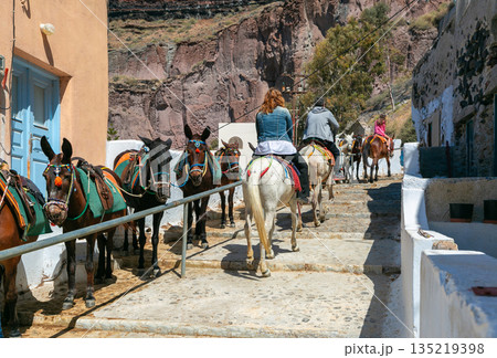 Donkeys on Stone Path in Santorini, Greece Donkeys on Stone Path in Santorini, Greece 135219398