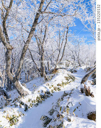 厳冬期の赤城山で見られる青空と霧氷の絶景 厳冬期の赤城山で見られる青空と霧氷の絶景 135220132