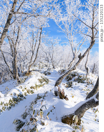 厳冬期の赤城山で見られる青空と霧氷の絶景 厳冬期の赤城山で見られる青空と霧氷の絶景 135220133