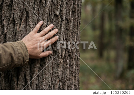 Hand touching rough tree bark in forest close up 135220263