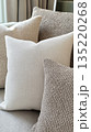 Neutral beige throw pillows on sofa in modern living room 135220268