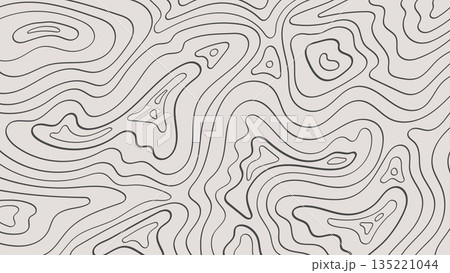 Abstract Topography Texture Line Hand Drawn on Gray Background.Vector Illustration 135221044