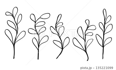 Minimalist Line Drawing of Abstract Plant Stems Bundle 135221099