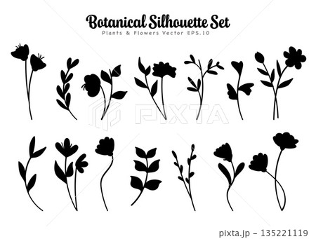 Botanical Silhouette Set Plants and Flowers Blossom.Vector Illustration 135221119