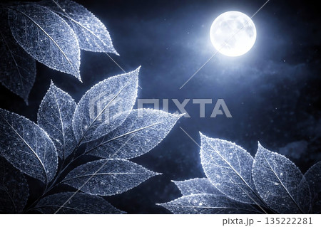 満月の下で輝く霜に覆われたスケルトンリーフ 135222281