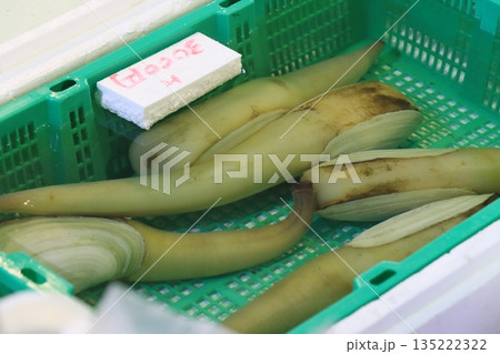 白ミル　 135222322