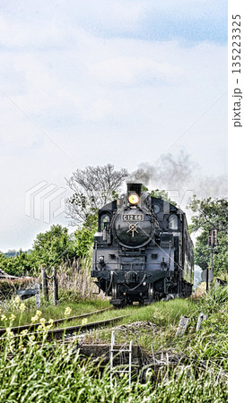 真岡鉄道の蒸気機関車 135223325