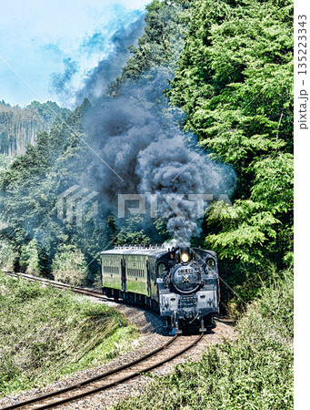 真岡鉄道の蒸気機関車 135223343