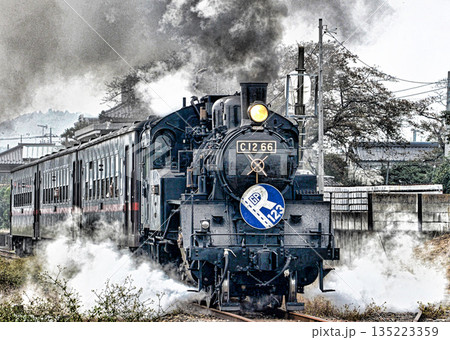真岡鉄道の蒸気機関車 真岡鉄道の蒸気機関車 135223359