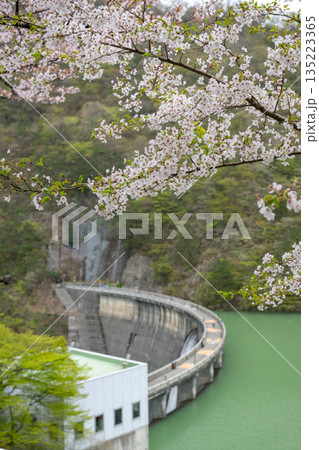 宮城県/ 満開の桜と鳴子ダム（荒雄湖） 135223365