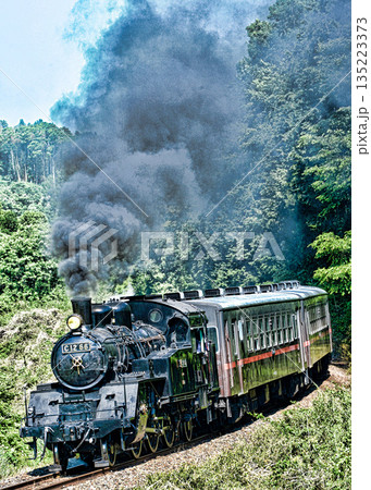 真岡鉄道の蒸気機関車 135223373