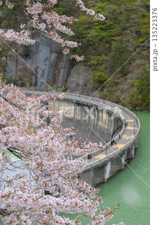 宮城県/ 満開の桜と鳴子ダム（荒雄湖） 135223376