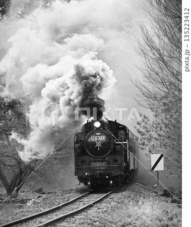 真岡鉄道の蒸気機関車 真岡鉄道の蒸気機関車 135223412