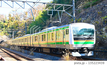 東海道本線の電車 東海道本線の電車 135223439