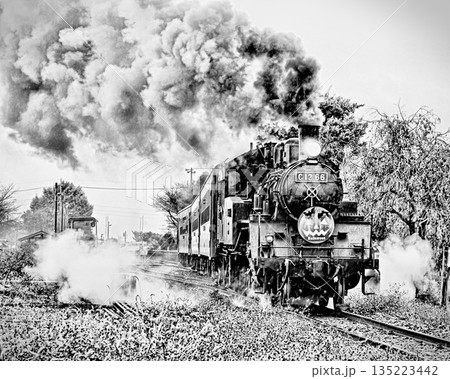 真岡鉄道の蒸気機関車 135223442