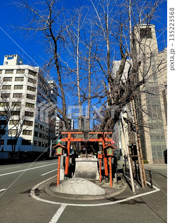 龍王大神 昔な太融寺境内にあった祠とイチョウの木が拡張された道路に残されている風景 大阪市北区 龍王大神 昔な太融寺境内にあった祠とイチョウの木が拡張された道路に残されている風景 大阪市北区 135223568
