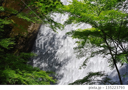 馬ヶ城浄水場(愛知県瀬戸市) 馬ヶ城浄水場(愛知県瀬戸市) 135223793