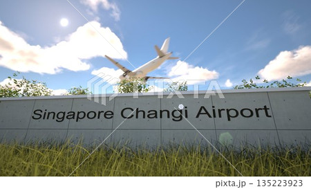 Arrivals at Singapore Changi Airport with airplane landing near terminal, Singapore, Singapore 3D rendering 135223923