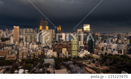 曇天に包まれた東京の都市風景とBLUE FRONT SHIBAURAのビル群 135223970