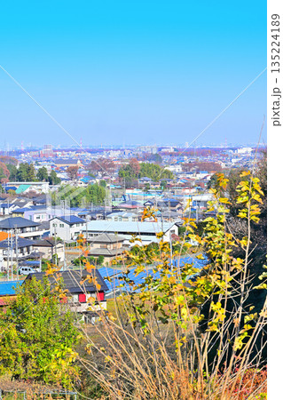 比良の丘から所沢街地の眺め　所沢市　 135224189