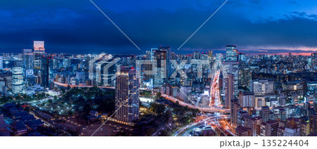 東京・港区の都市風景と赤羽橋交差点の夜景 パノラマ 135224404