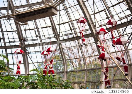 植物園のクリスマス 植物園のクリスマス 135224560