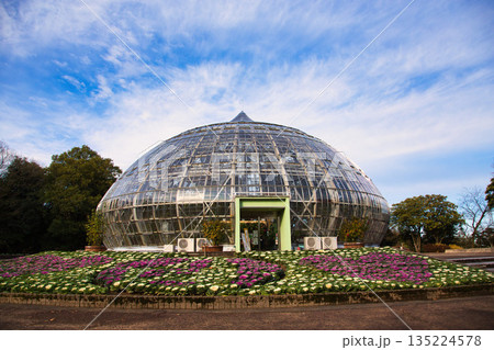 植物園のクリスマス 135224578