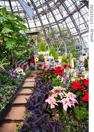 植物園のクリスマス 植物園のクリスマス 135224582