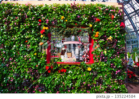 植物園のクリスマス 135224584