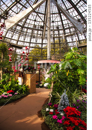 植物園のクリスマス 135224585