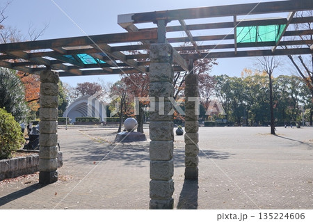 紅葉の川崎市中原平和公園 135224606