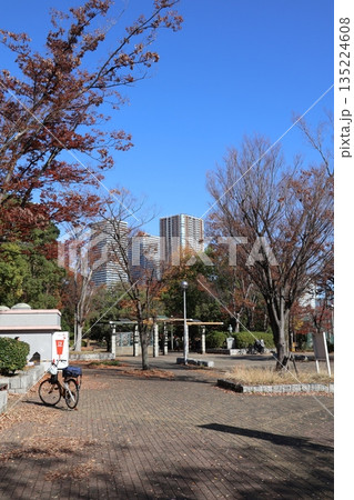 紅葉の川崎市中原平和公園 紅葉の川崎市中原平和公園 135224608