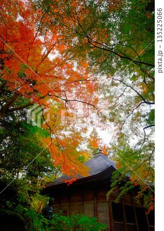 秋の京都 楊谷寺 秋の京都 楊谷寺 135225066