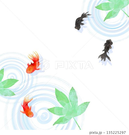 上から見た金魚と葉と水面の波紋　ミニマルな和風イラスト 135225297