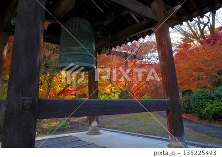 京都 神應寺の紅葉 京都 神應寺の紅葉 135225493