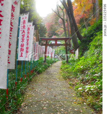 京都 神應寺の紅葉 京都 神應寺の紅葉 135225496