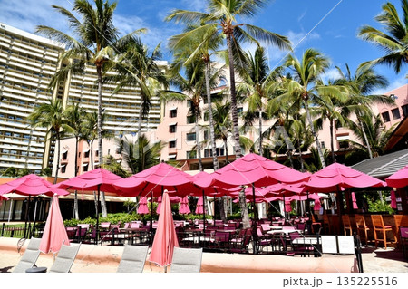 ハワイの休日 135225516