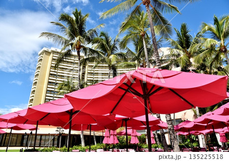 ハワイの休日 135225518