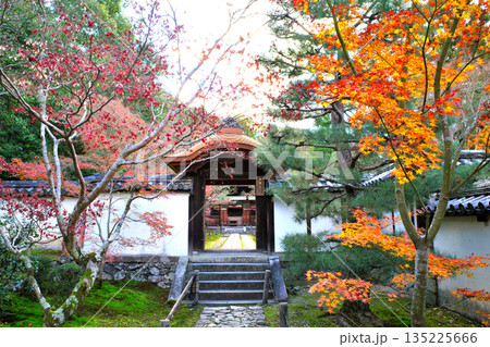 京都 一休寺の秋の紅葉 京都 一休寺の秋の紅葉 135225666