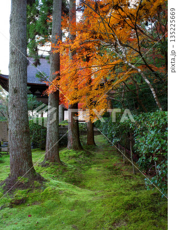 京都 一休寺の秋の紅葉 京都 一休寺の秋の紅葉 135225669