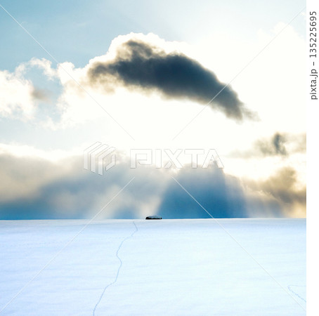 冬の北海道美瑛町の雪原の向こうに落ちる太陽と雲からの光芒 冬の北海道美瑛町の雪原の向こうに落ちる太陽と雲からの光芒 135225695
