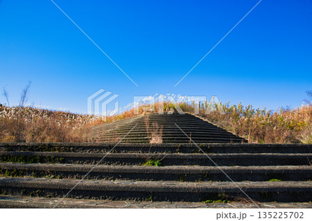風に揺れる晩秋のススキ 135225702