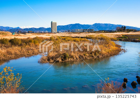風に揺れる晩秋のススキ 135225743