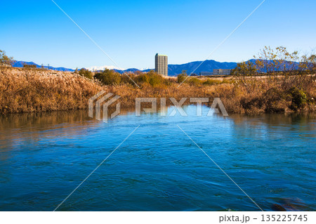 風に揺れる晩秋のススキ 135225745
