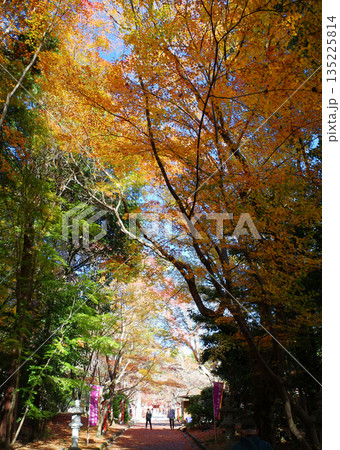 京都　秋の善峯寺の紅葉 135225814