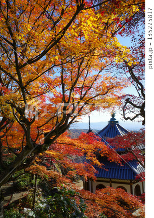 京都 秋の善峯寺の紅葉 京都 秋の善峯寺の紅葉 135225817