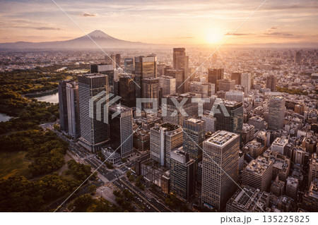 東京の空撮 135225825