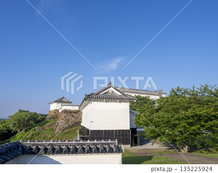 快晴の朝の富岡城　（二の丸から本丸を見あげる） 135225924